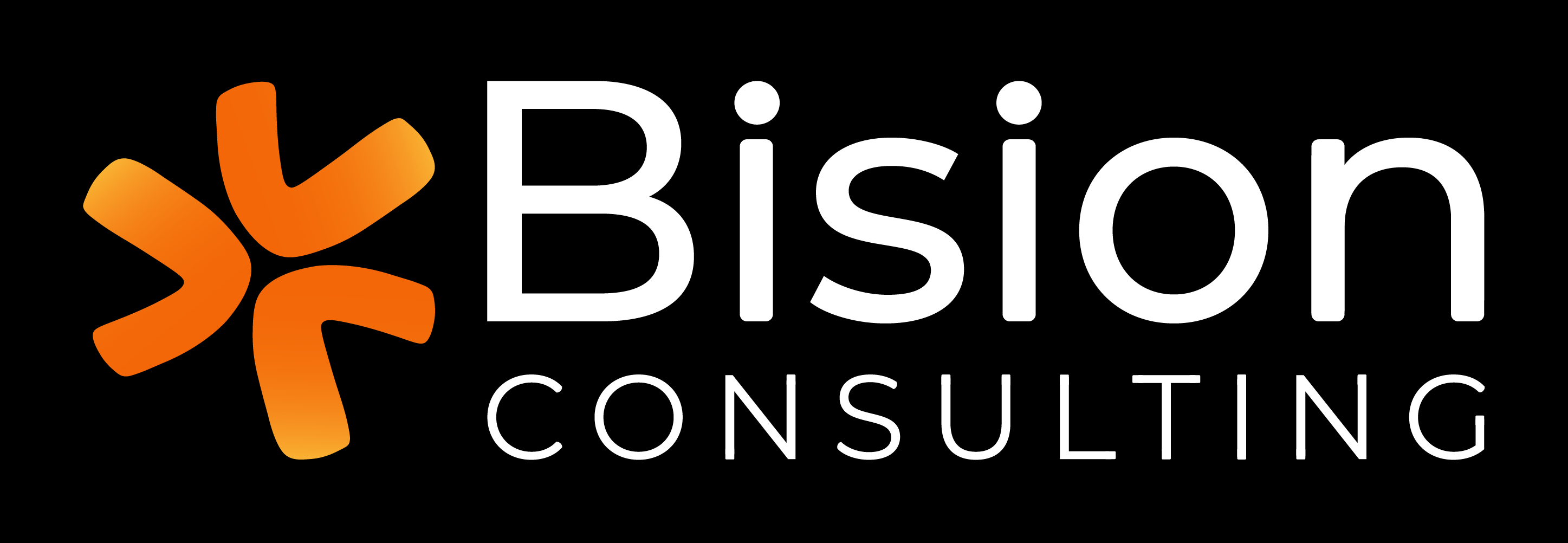 Logo Bision Consulting